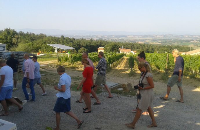 visite cantina vigna croce di febo