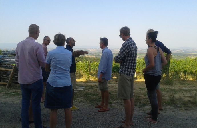 visite cantina vigna croce di febo