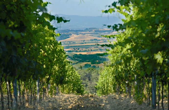 croce di febo terra